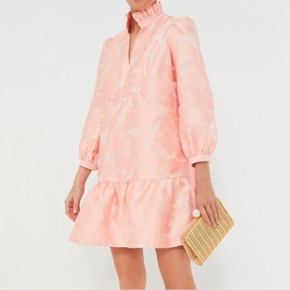 NEW Tuckernuck Bellini Fil Coupe Pink Drop Waist Palmerston Dress Medium